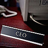 How Did Powerful CEOs Start Their Careers?