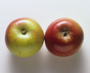 Travel Tip: Before You Book, Compare Apples to Apples