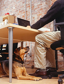 Business Owners Are the Happiest Workers