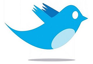 Twitter's Early Working Names