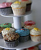 Which of These Sweets Is Not an Android OS Codename? 