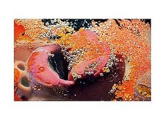 Photographer Marilyn Minter's Short Film For Madonna