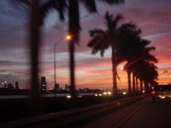 I Love Your ShopStyle: Miami Heat 