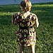 Flower Fields