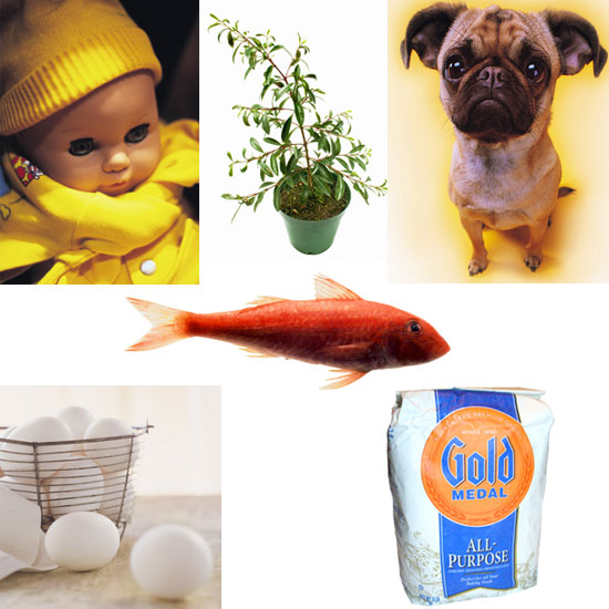 Foolish Ways People Prep For Parenthood Foolish Ways People Prep For Parenthood