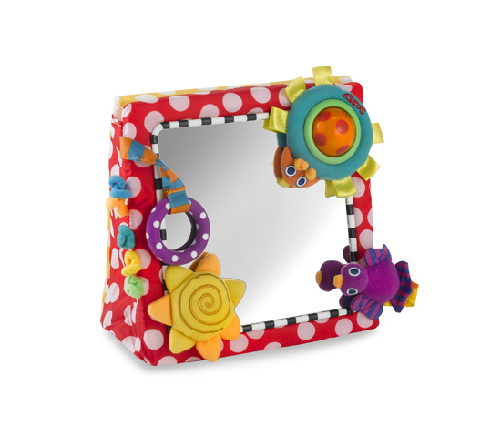 A Mirrored Toy A Mirrored Toy