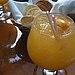 Mimosa