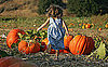 Will You Pick Up Your Pumpkins at a Patch or Supermarket?