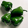 Green Peppers and Digestion