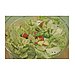 Cabbage, Caraway, and Apple Salad