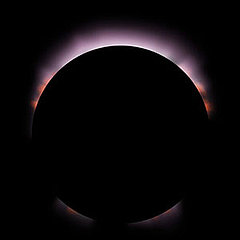 P.L.O.W. — Celebrate the Sun P.L.O.W. — Celebrate the Sun