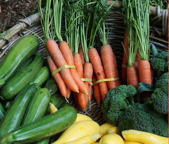 Eat Your Veggies Eat Your Veggies
