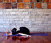 Strike a Yoga Pose: Tortoise