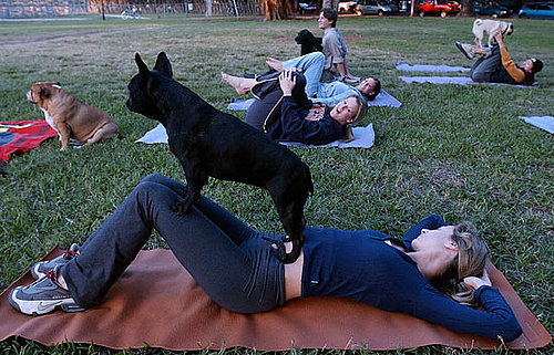 Doga Is Yoga With Your Dog