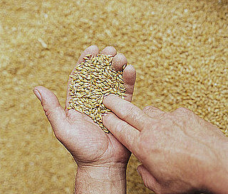 Cooking With Whole Grains
