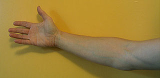Why Are Veins Blue If Blood Is Red?