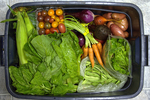 Why a CSA Is Good For You