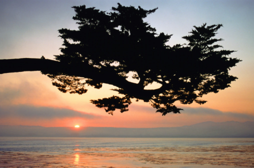 10 Ways to Californify Your Crib 10 Ways to Californify Your Crib