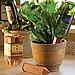 Make a Plant Waterer