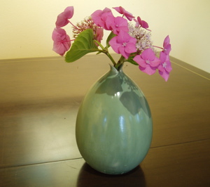 Name This Flower