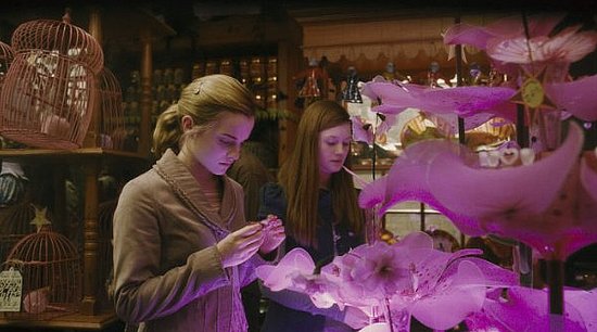 Surprising Decorating Finds From Harry Potter and the Half-Blood Prince Surprising Decorating Finds From Harry Potter and the Half-Blood Prince