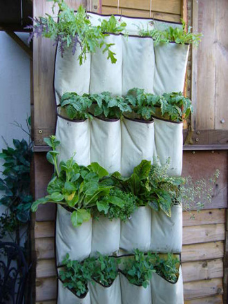 Cool Idea: A Shoe Organizer as a Vertical Garden
