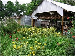 10 Great Urban Farms Across the United States 10 Great Urban Farms Across the United States