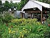 10 Great Urban Farms Across the United States