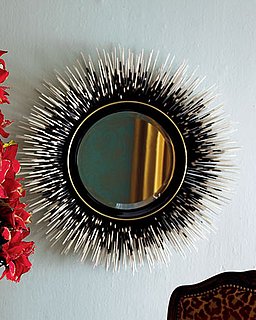 Love It or Hate It? Porcupine Quill Mirror