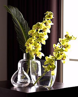 Do You Decorate With Cut Orchids?