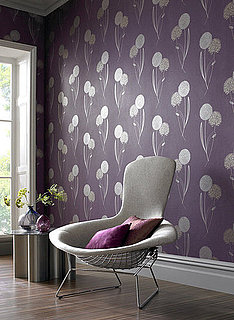 Nice and New: Graham and Brown's Essence Collection