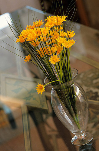 Open House: What Are Your Design Pet Peeves?