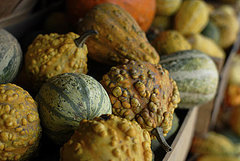 Do You Decorate With Gourds? Do You Decorate With Gourds?