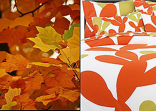 Inspired: Fall Colors