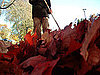 Open House: Least Favorite Fall Chores