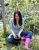 10 Fall Tasks For Gardeners