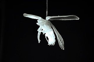 Love It or Hate It? Firefly LED Light