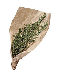Casa Quickie: Herbal Power For Your Shower