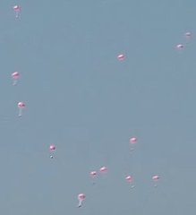 Tampons Descend on Unsuspecting Sunbathers