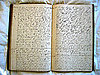 Would You Ever Want Someone to Read Your Diary? 