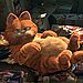 China: Garfield
