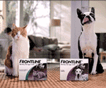 Get a Coupon From Frontline!