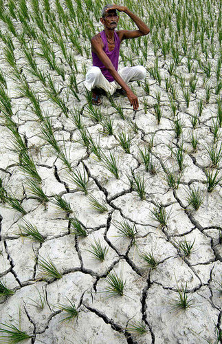 Indian Women Asked to Plow Fields Naked For Rain 