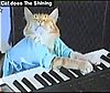 Happy Caturday!