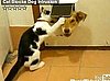 Happy Caturday!