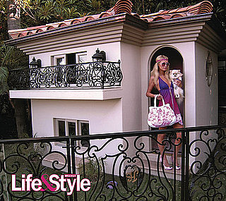 Oh Snap! Paris Hilton's Dogs Have a Really Ruff Life