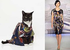 Happy Caturday!