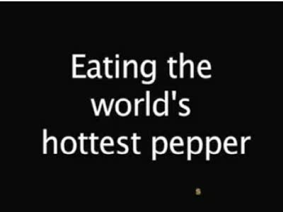 World's Strongest Pepper