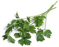 Don't Skip The Garnish: Italian Parsley Is Loaded With Good Things