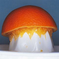 Get the Most Out of Your Citrus Get the Most Out of Your Citrus